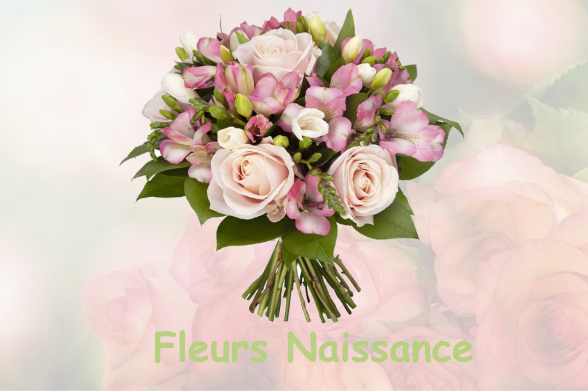 fleurs naissance MENTQUE-NORTBECOURT
